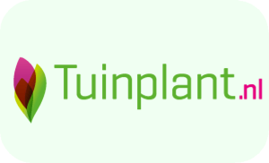 tuinplant